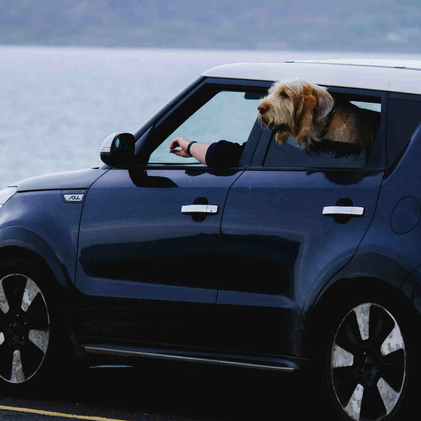 How to choose the best car seat cover - and keep them clean!