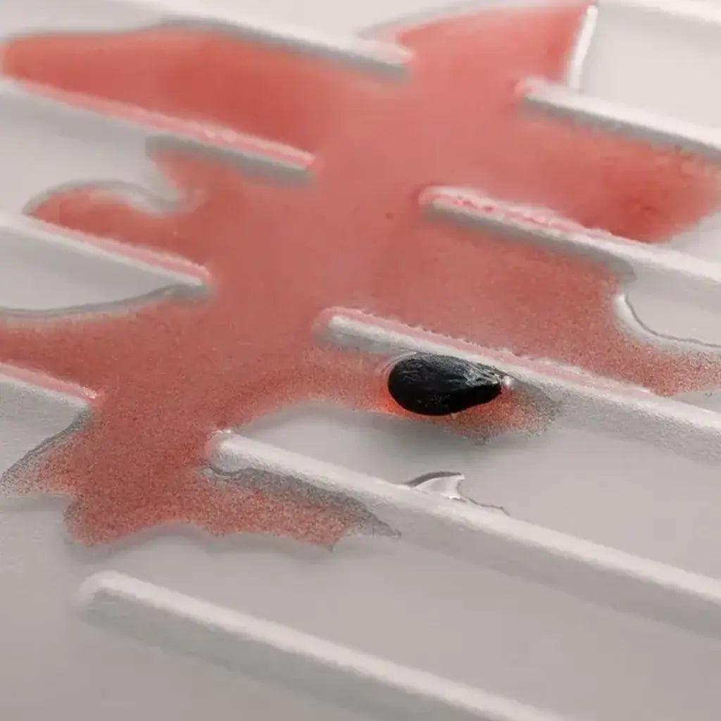 Fridge Mat (33cm x 20cm) - WeatherTech CH