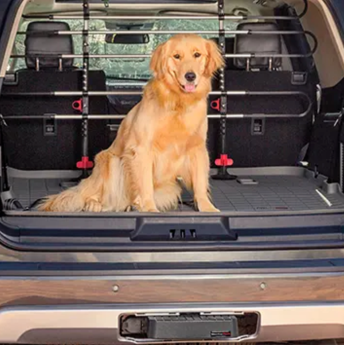 BMW X5 (2013-2018) Cargo Mat - WeatherTech CH