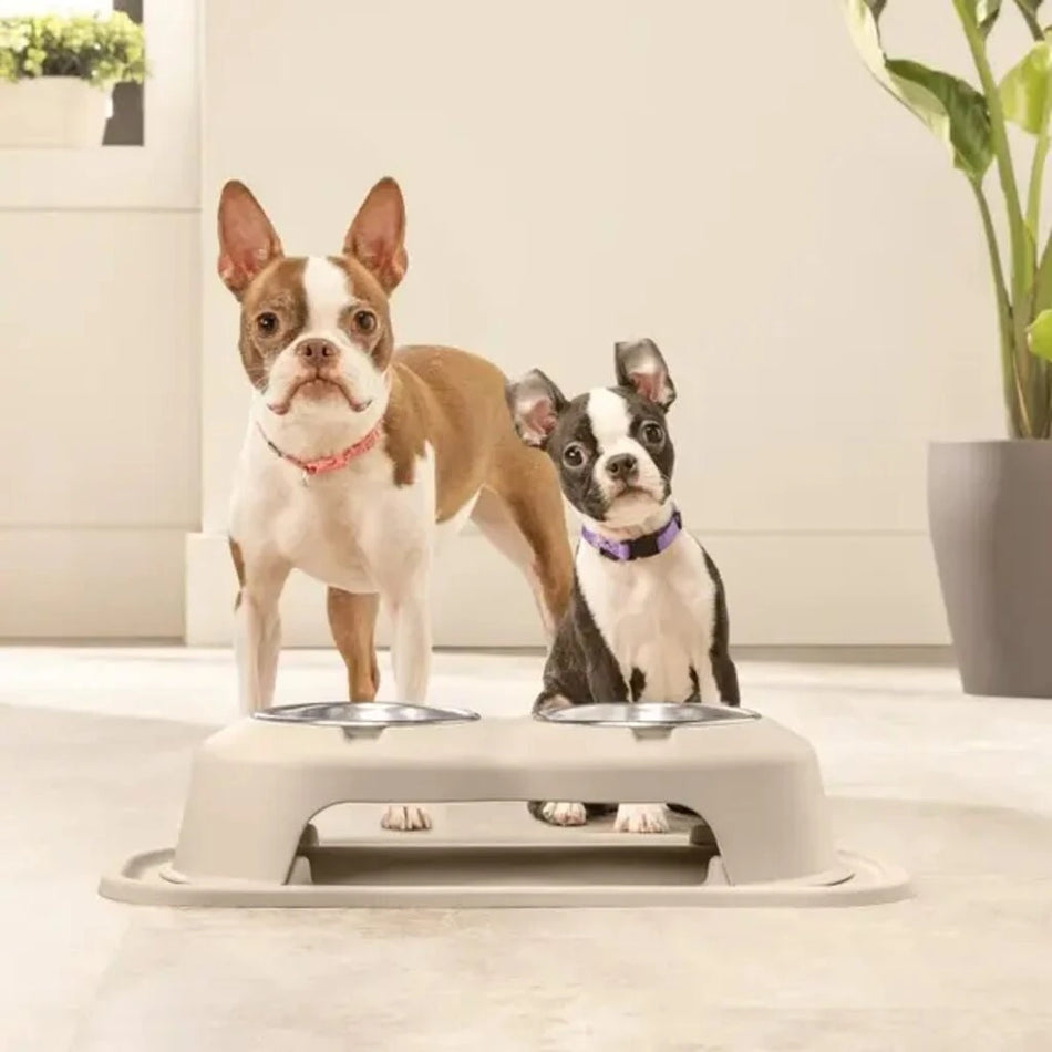 Dog and Cat advanced feeding systems