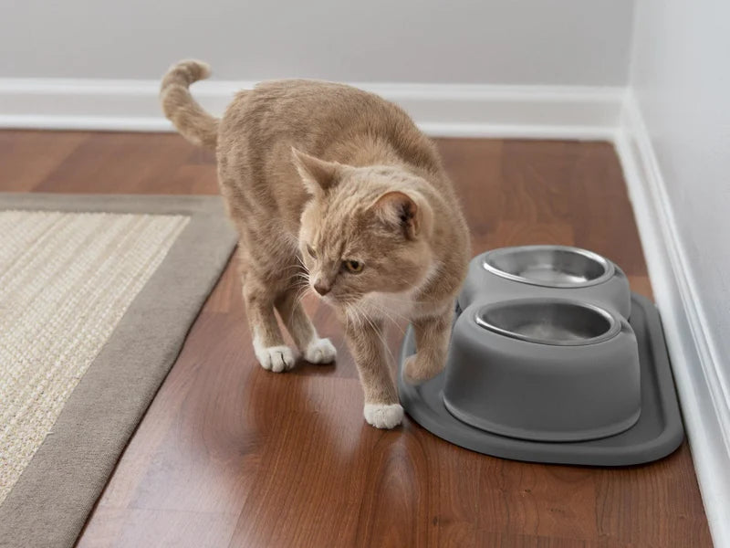 Double High Pet Feeding System - WeatherTech CH