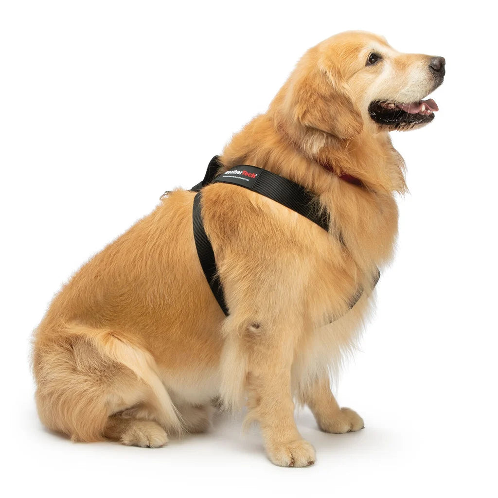 Arnés de seguridad para mascotas
